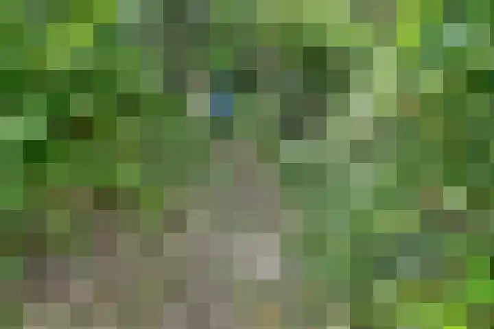 Lijnderdijk 20 Zwanenburg thumbnail 23