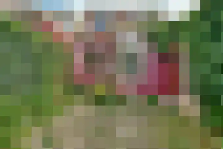 Lijnderdijk 20 Zwanenburg thumbnail 24