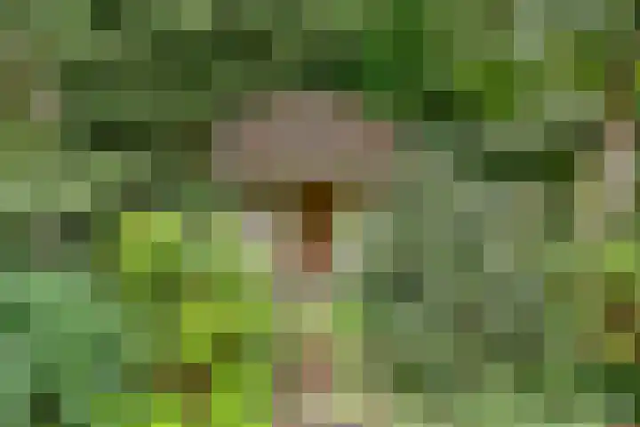 Lijnderdijk 20 Zwanenburg thumbnail 26