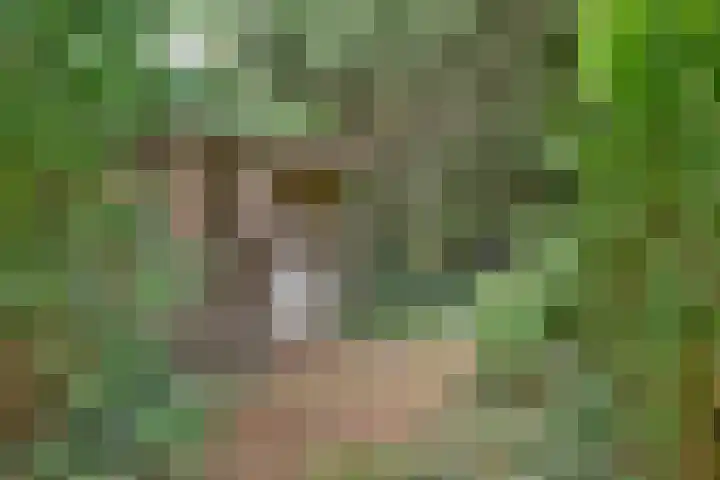 Lijnderdijk 20 Zwanenburg thumbnail 27