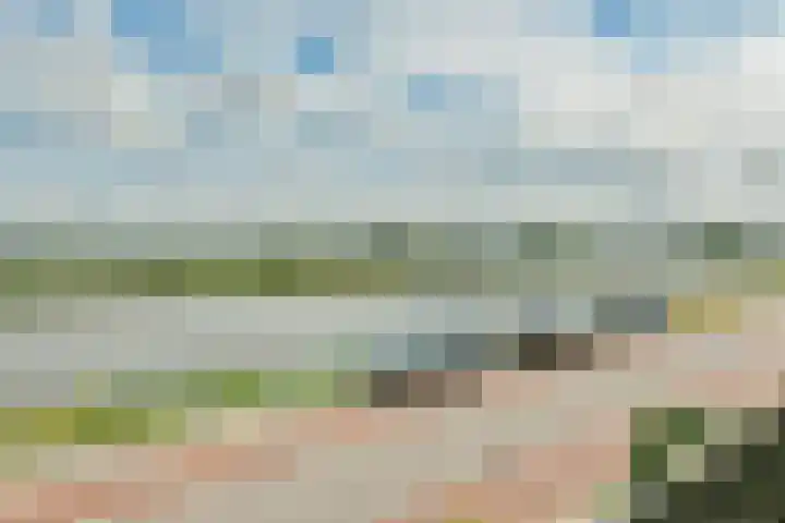 Lijnderdijk 20 Zwanenburg thumbnail 35