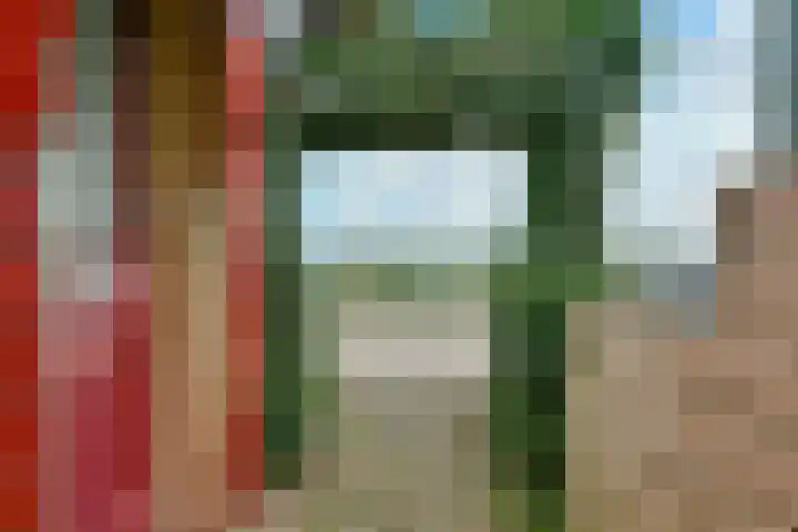 Lijnderdijk 20 Zwanenburg thumbnail 4