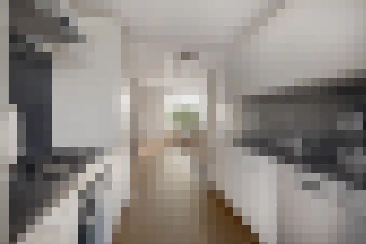 Lijnderdijk 200 Lijnden thumbnail 8