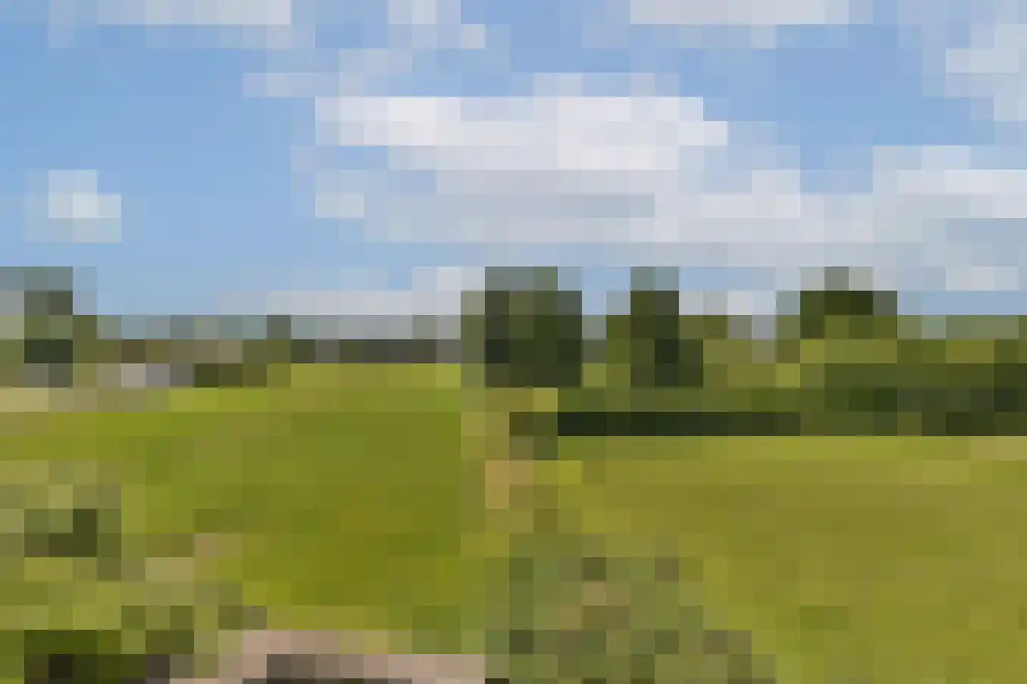 Lijnderdijk 235 Lijnden thumbnail 21