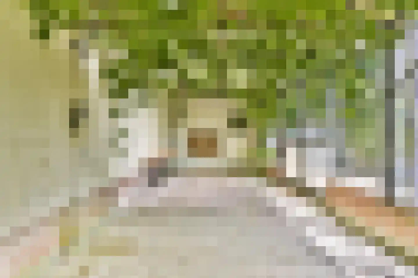 Lijnderdijk 235 Lijnden thumbnail 30