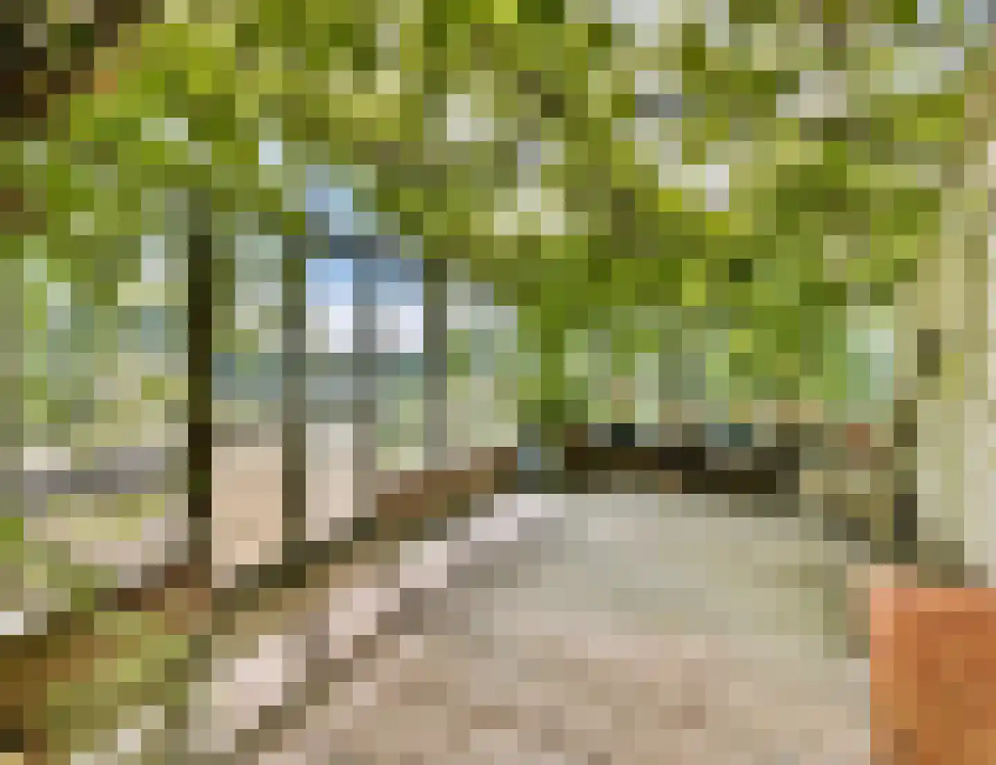 Lijnderdijk 235 Lijnden thumbnail 6