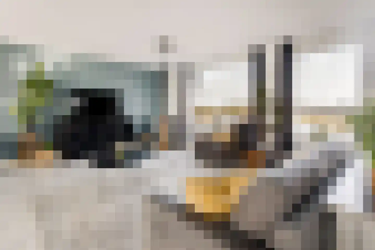 Lijnderdijk 239 Lijnden thumbnail 12