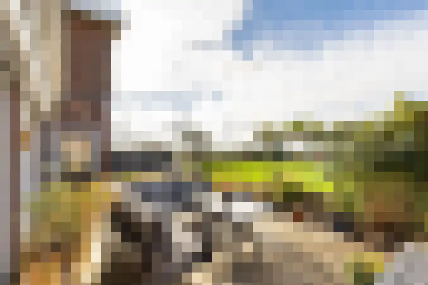 Lijnderdijk 239 Lijnden thumbnail 21