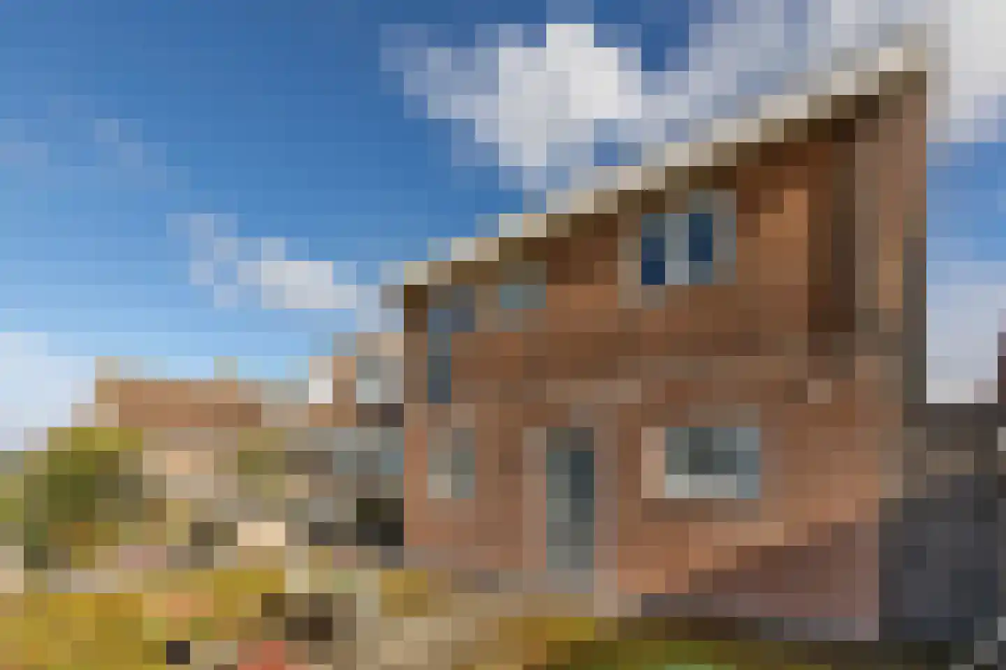 Lijnderdijk 239 Lijnden thumbnail 26