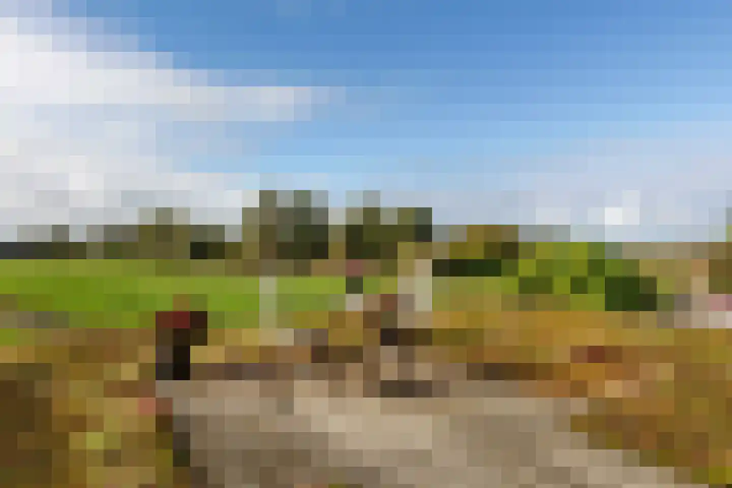 Lijnderdijk 239 Lijnden thumbnail 28