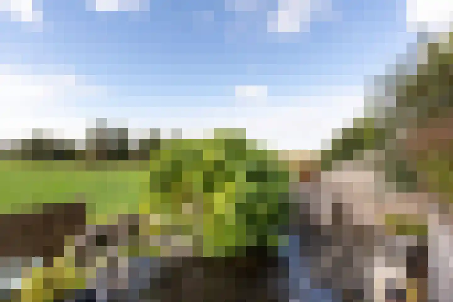 Lijnderdijk 239 Lijnden thumbnail 29