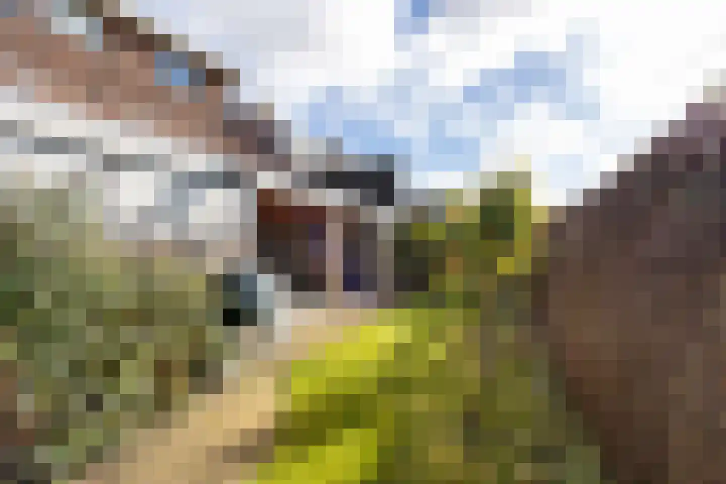 Lijnderdijk 239 Lijnden thumbnail 31