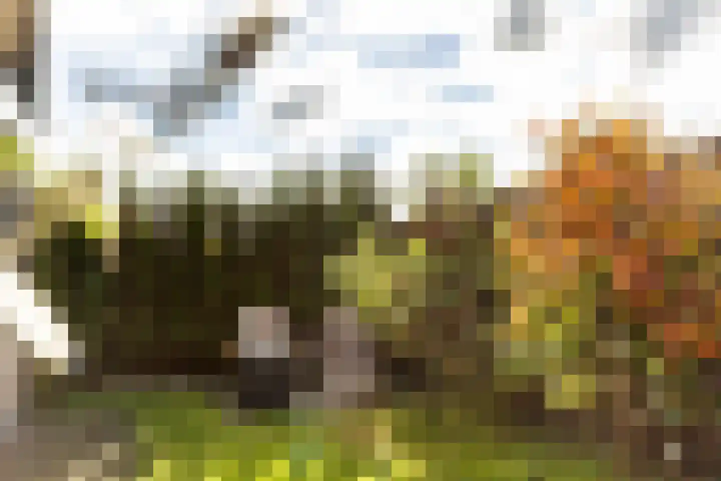 Lijnderdijk 239 Lijnden thumbnail 32