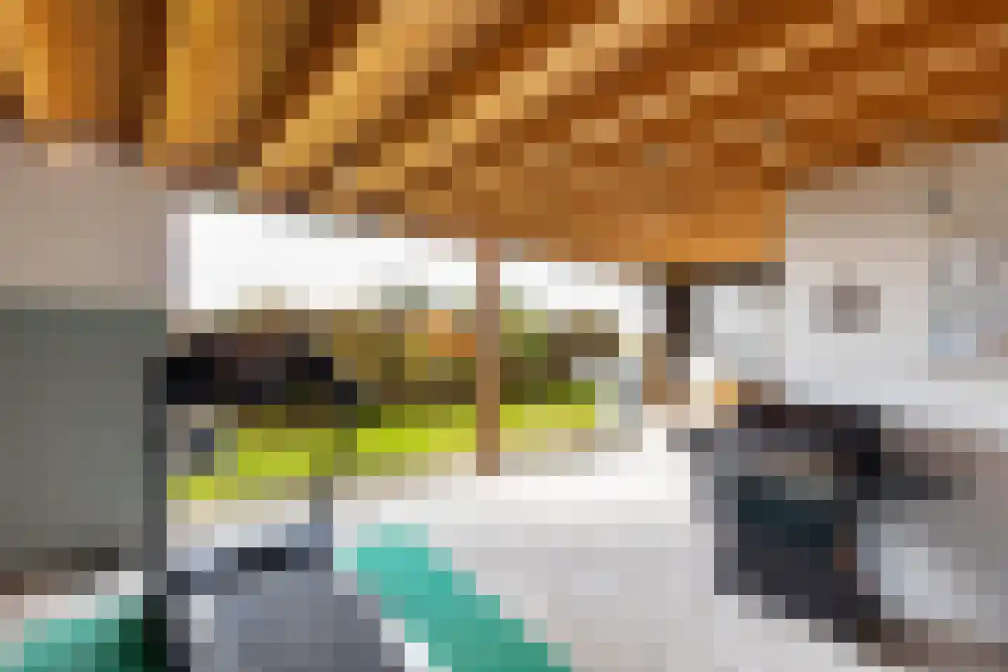 Lijnderdijk 239 Lijnden thumbnail 36
