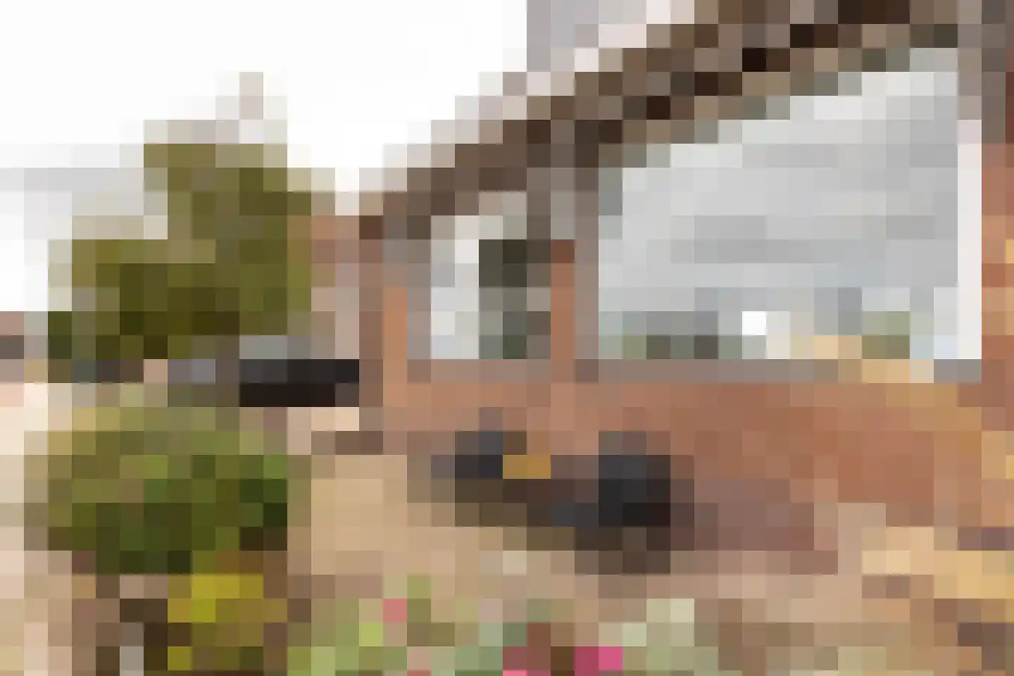 Lijnderdijk 239 Lijnden thumbnail 5