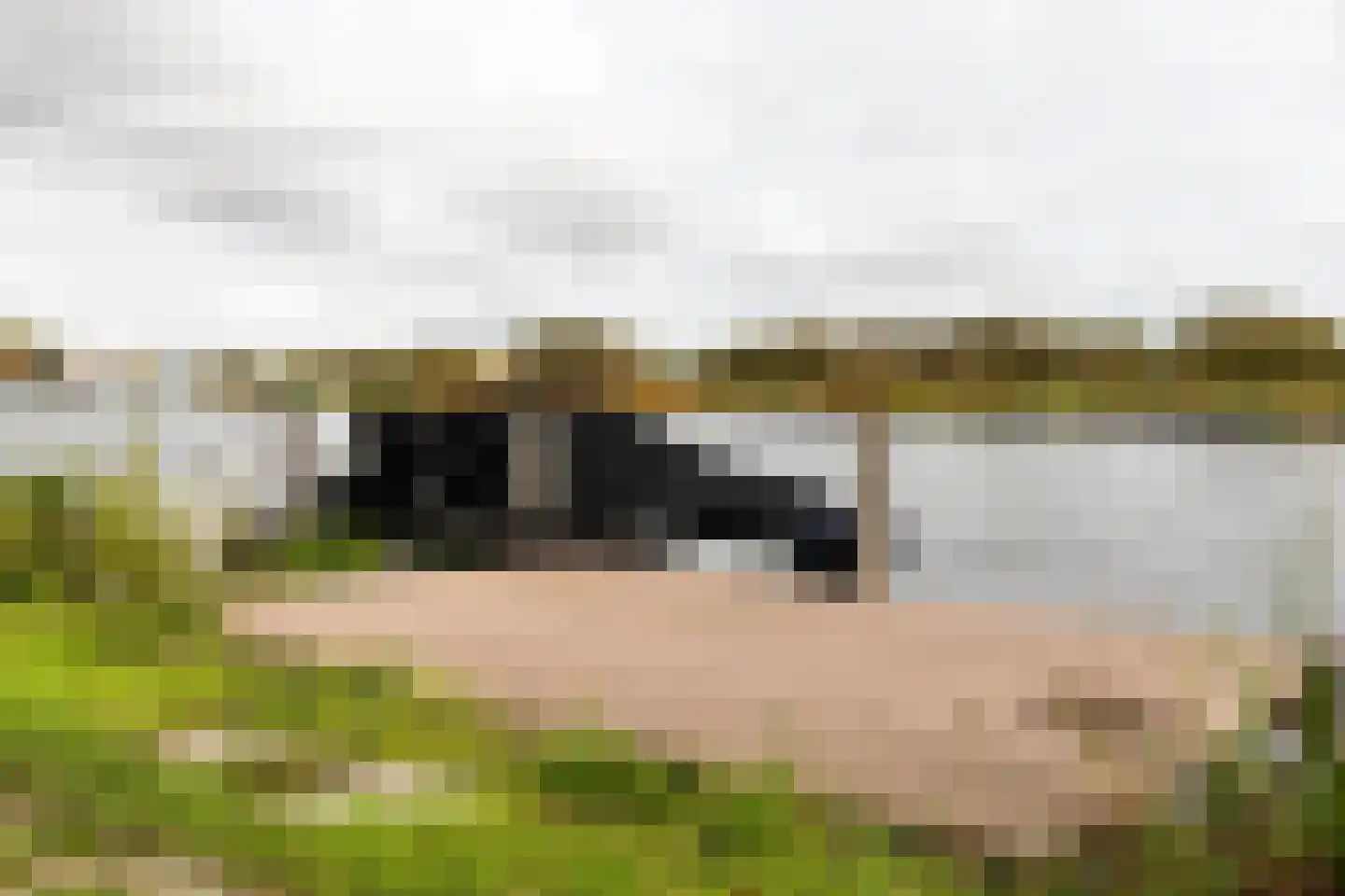 Lijnderdijk 239 Lijnden thumbnail 55