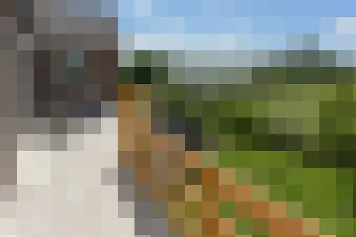 Lijnderdijk 241 Lijnden thumbnail 25