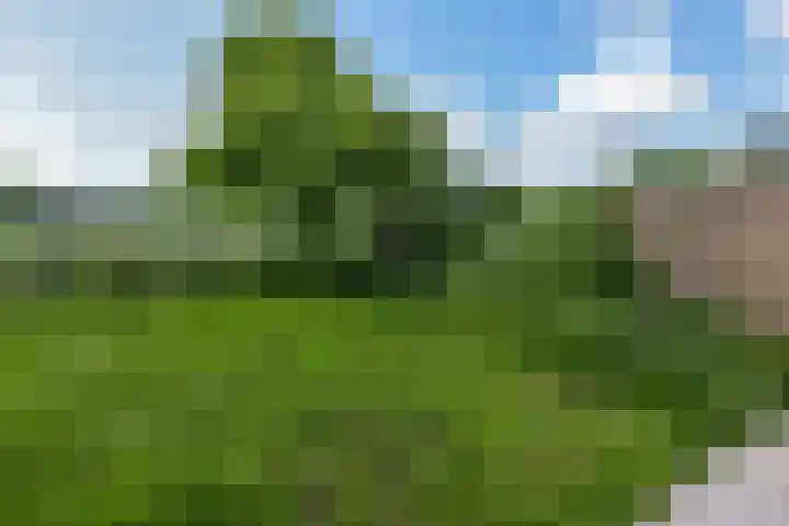 Lijnderdijk 241 Lijnden thumbnail 26