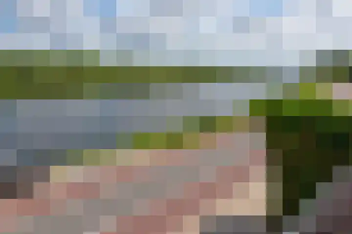 Lijnderdijk 241 Lijnden thumbnail 28