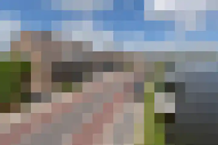 Lijnderdijk 241 Lijnden thumbnail 29
