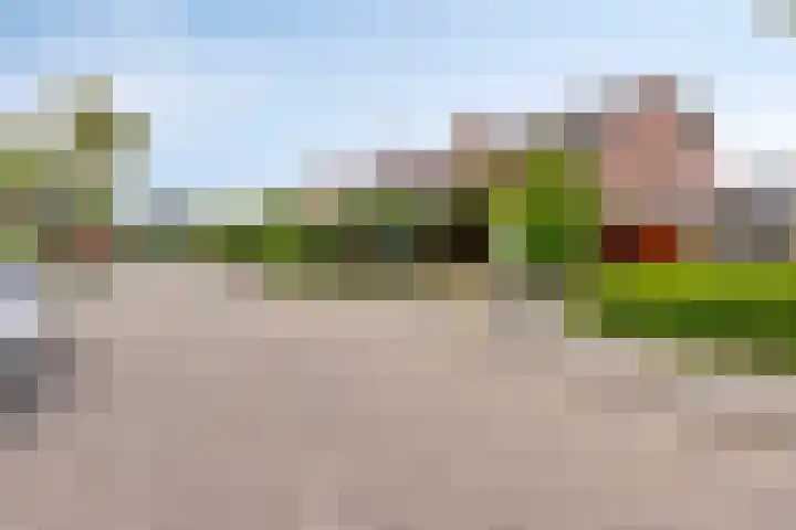 Lijndonk 107 Oosterhout thumbnail 11