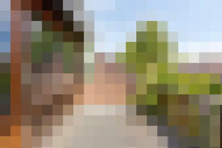 Lijndonk 107 Oosterhout thumbnail 24