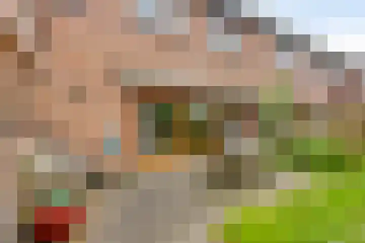 Lijndonk 107 Oosterhout thumbnail 28