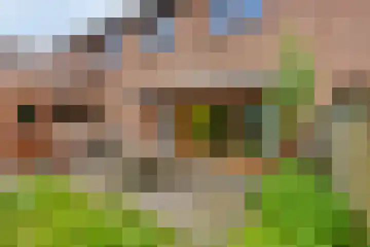 Lijndonk 107 Oosterhout thumbnail 29
