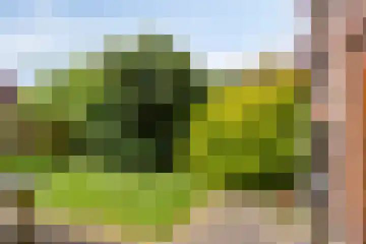 Lijndonk 107 Oosterhout thumbnail 30