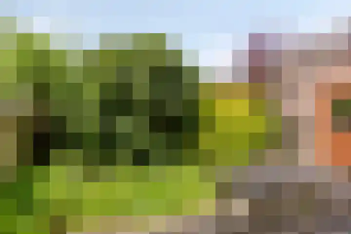 Lijndonk 107 Oosterhout thumbnail 31
