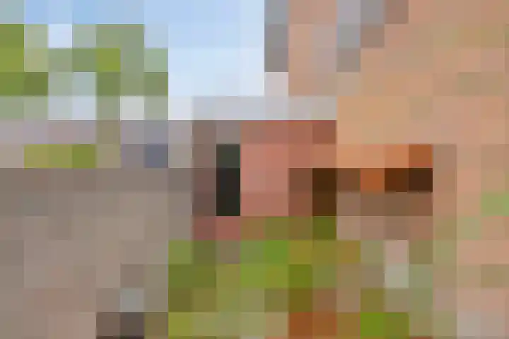 Lijndonk 107 Oosterhout thumbnail 32
