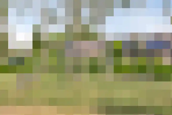 Lijndonk 107 Oosterhout thumbnail 34