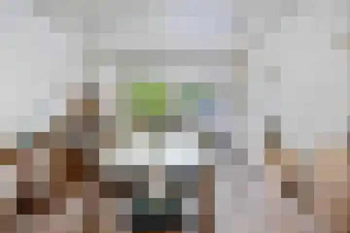 Lijndonk 107 Oosterhout thumbnail 9