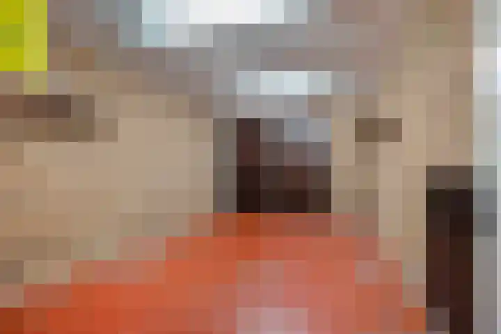 Lijndonk 116 Oosterhout thumbnail 13