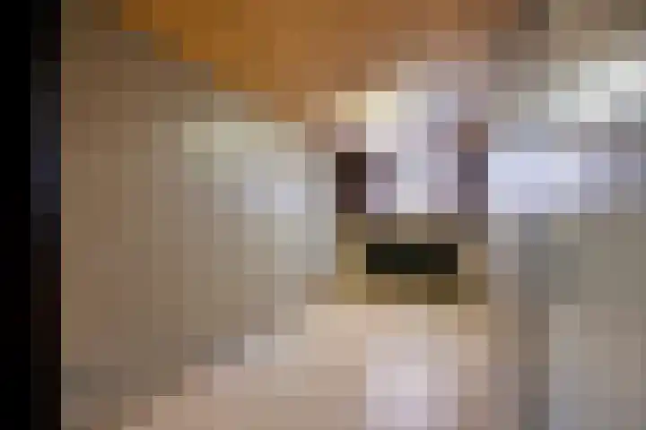 Lijndonk 116 Oosterhout thumbnail 20