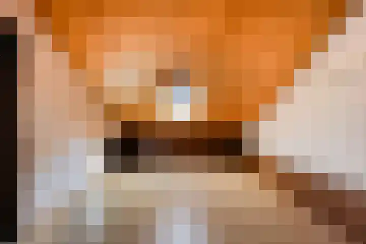Lijndonk 116 Oosterhout thumbnail 27