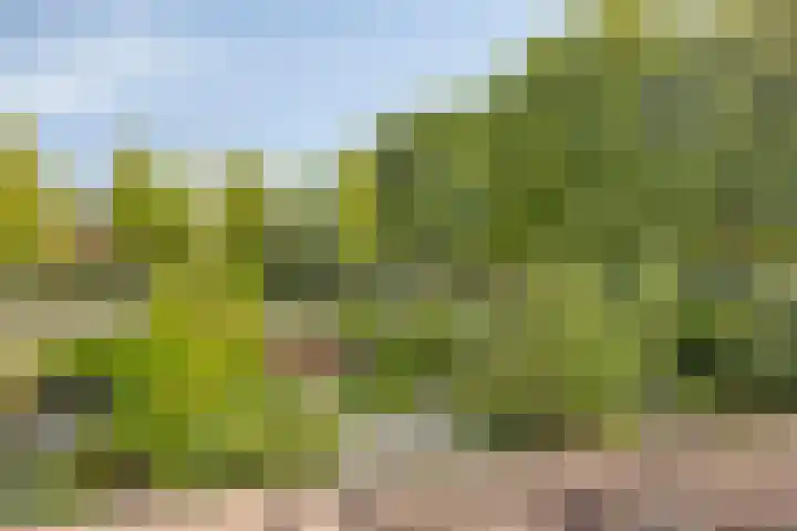 Lijndonk 116 Oosterhout thumbnail 33