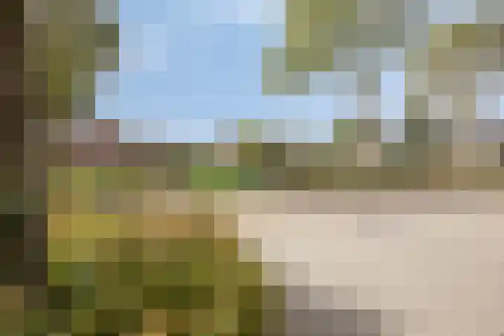Lijndonk 116 Oosterhout thumbnail 41