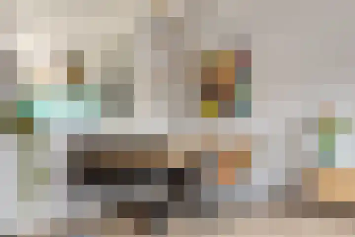 Lijndonk 22 Oosterhout thumbnail 10