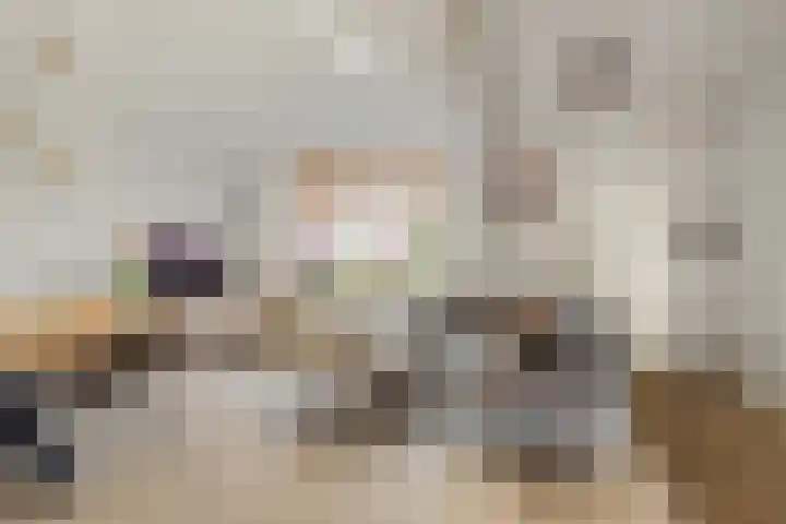Lijndonk 22 Oosterhout thumbnail 12