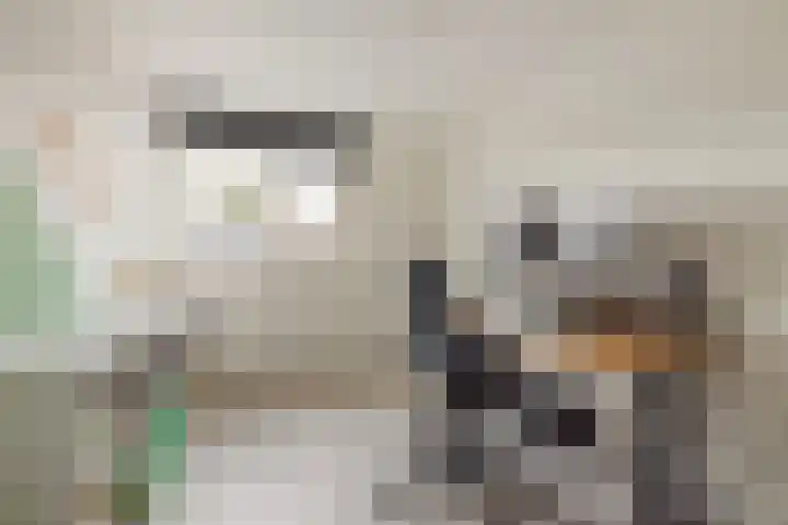 Lijndonk 22 Oosterhout thumbnail 20