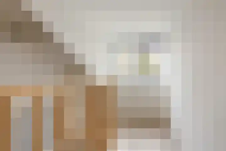 Lijndonk 22 Oosterhout thumbnail 21