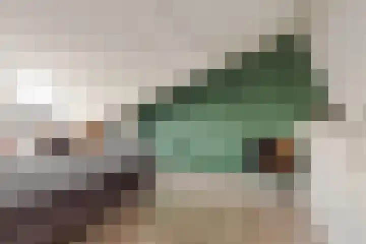 Lijndonk 22 Oosterhout thumbnail 22