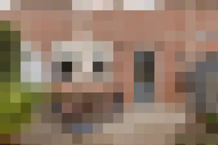 Lijndonk 22 Oosterhout thumbnail 28