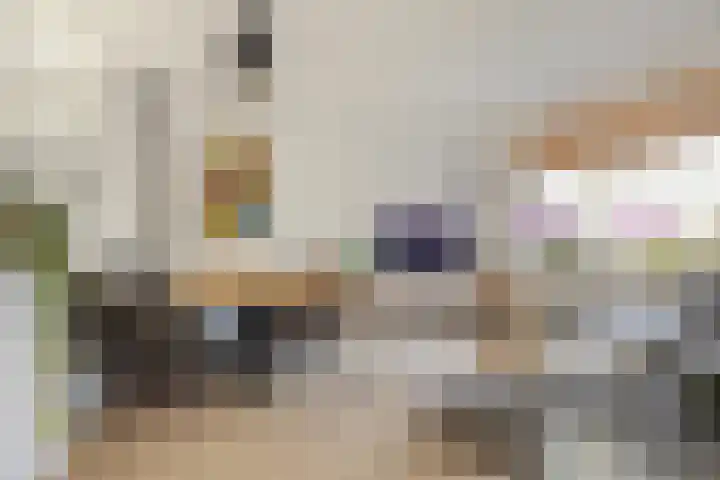 Lijndonk 22 Oosterhout thumbnail 8