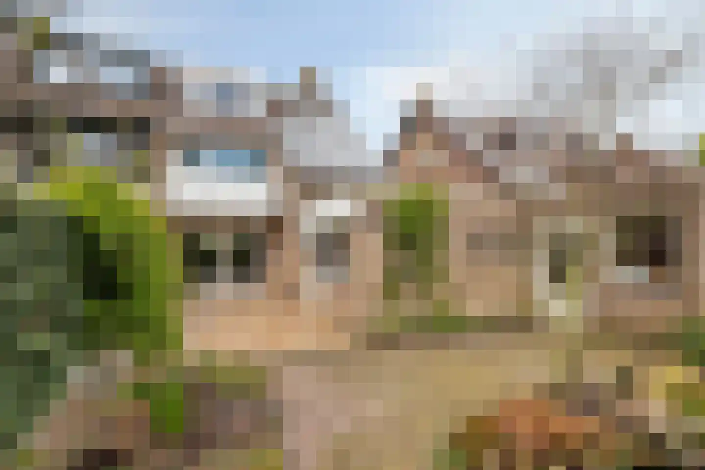 Lijndonk 60 Oosterhout foto 2