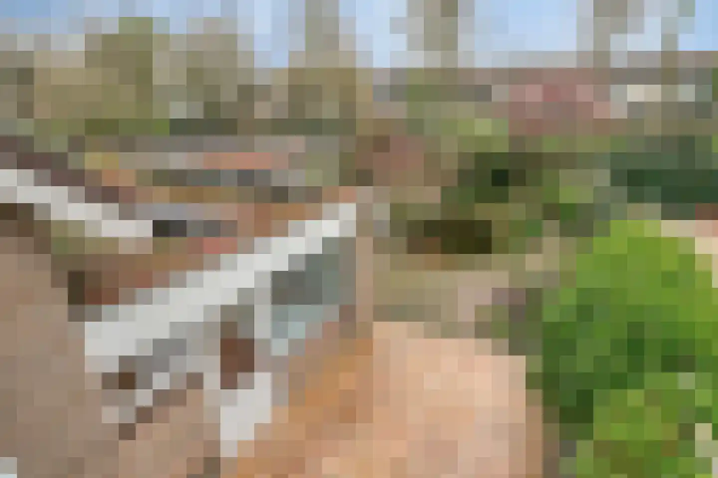 Lijndonk 60 Oosterhout thumbnail 21