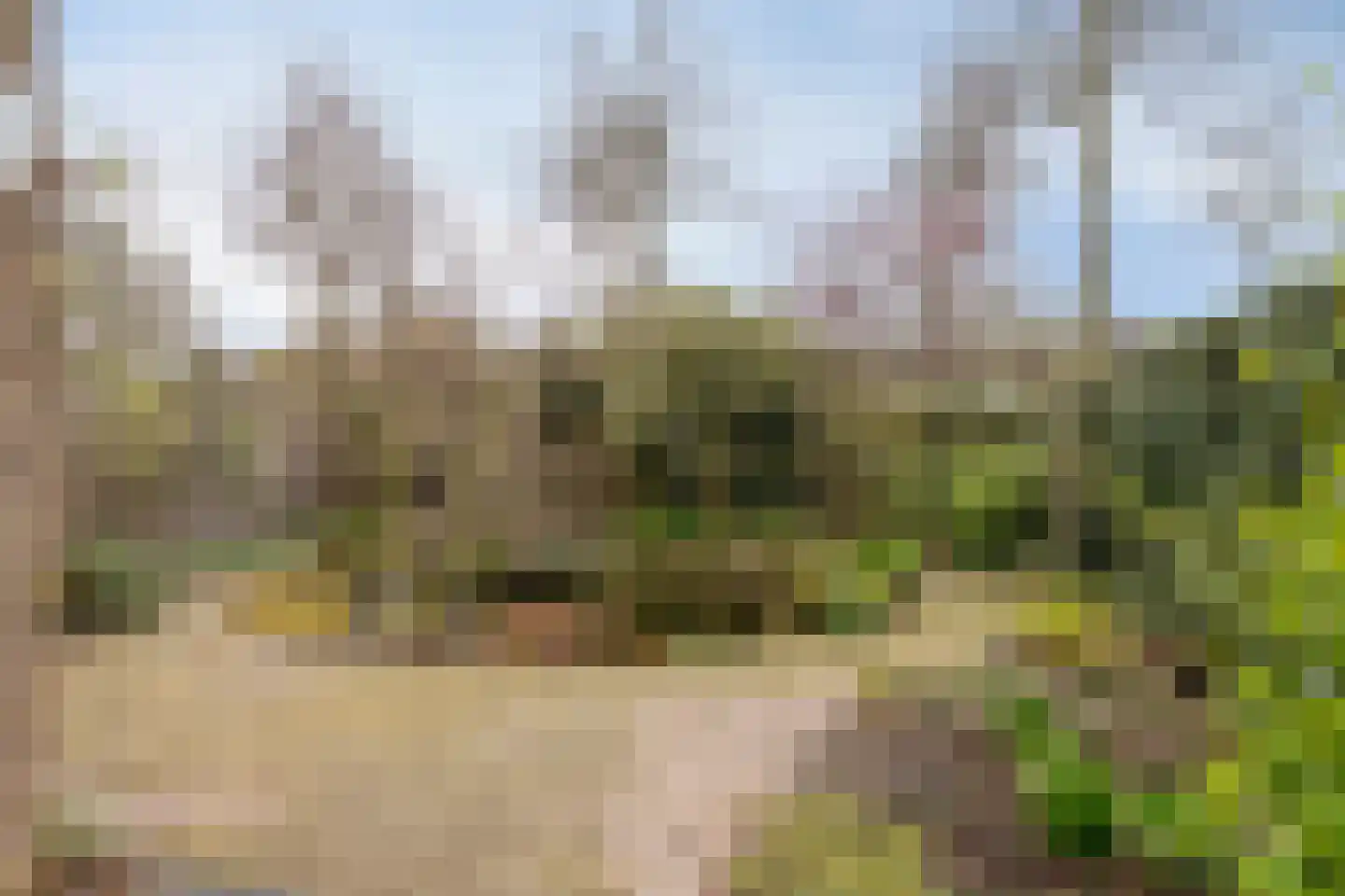 Lijndonk 60 Oosterhout thumbnail 32