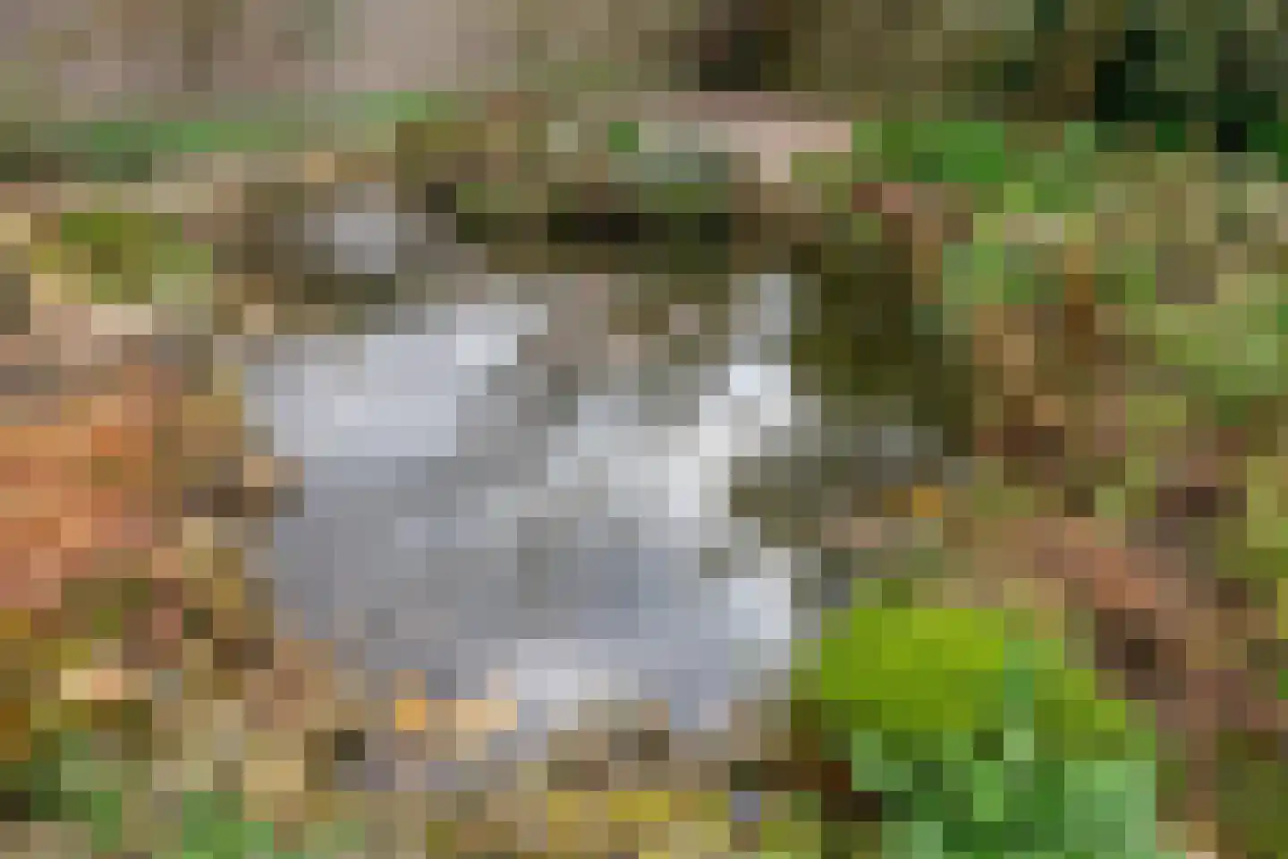 Lijndonk 60 Oosterhout thumbnail 33