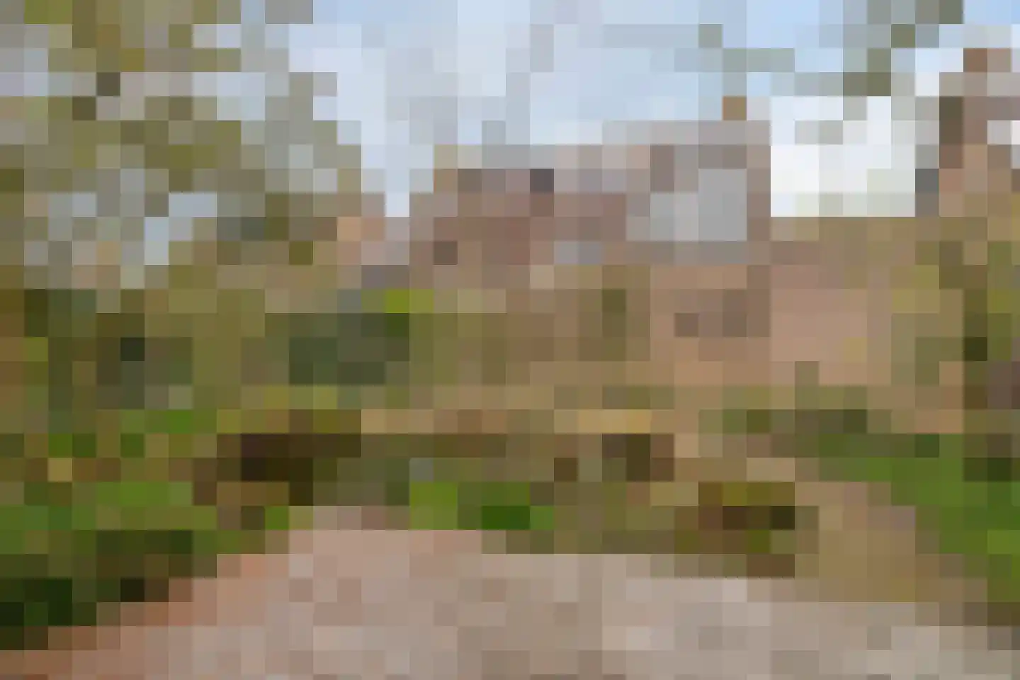 Lijndonk 60 Oosterhout thumbnail 34